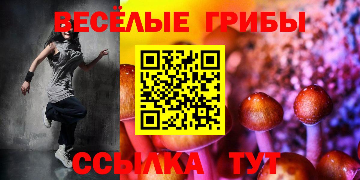 Псилоцибиновые грибы Psilocybe  Вход с VPN  Усть-Илимск 